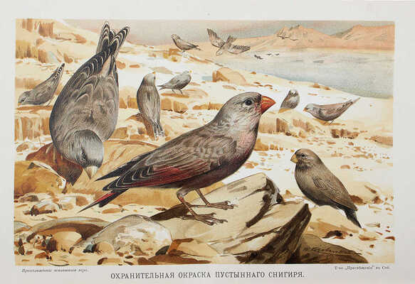 Гааке В. Происхождение животного мира. СПб., 1902.